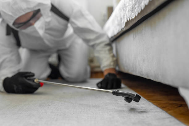 Professional Bed Bug Control technician working in Fort Irwin, CA