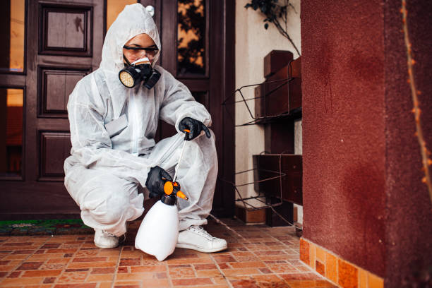 Reliable Bed Bug Control contractor in Fort Irwin, CA by Nex Pest Control